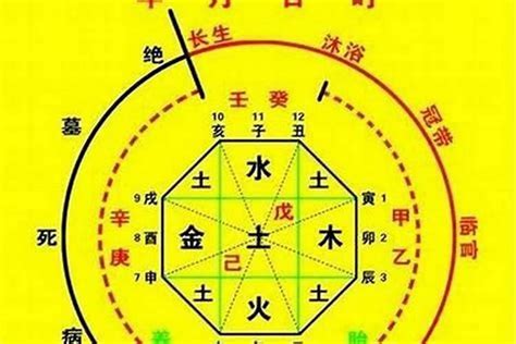 喜忌神|八字入门基础 第六篇 如何判断八字喜用神